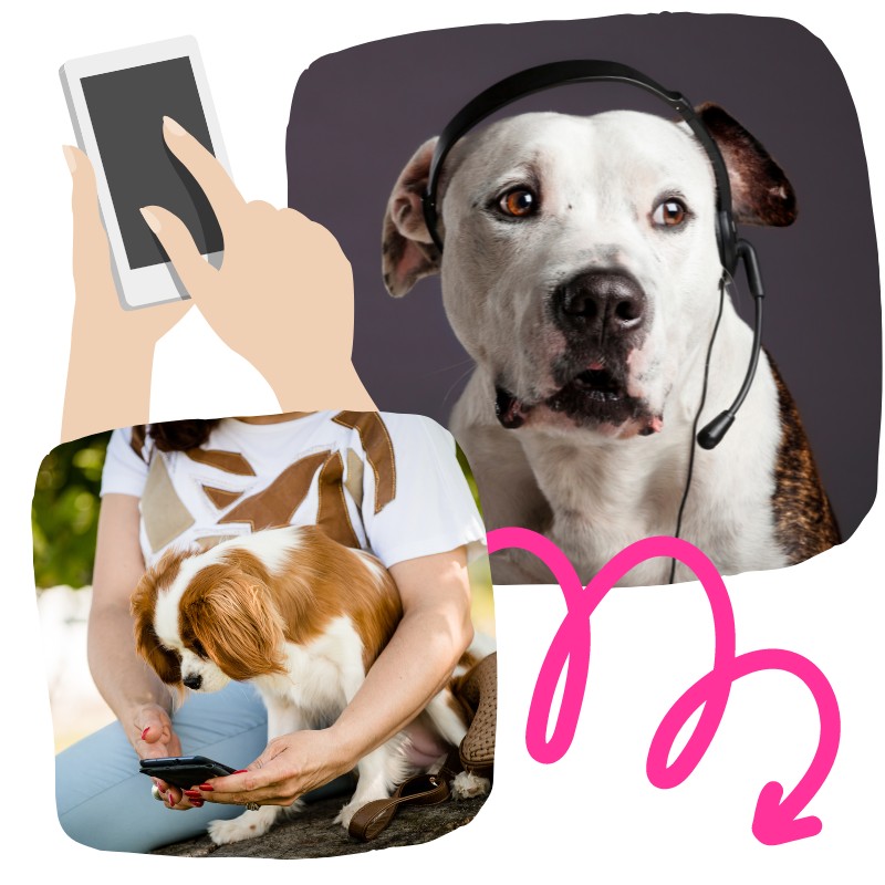 call now dog graphic image