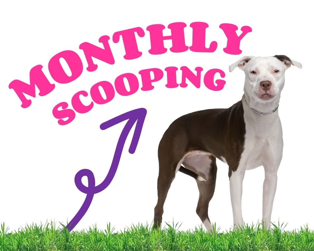 monthly scooping graphic photo